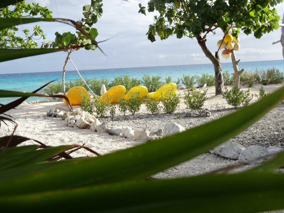 Pension Tiputa Lodge Rangiroa Exterior foto